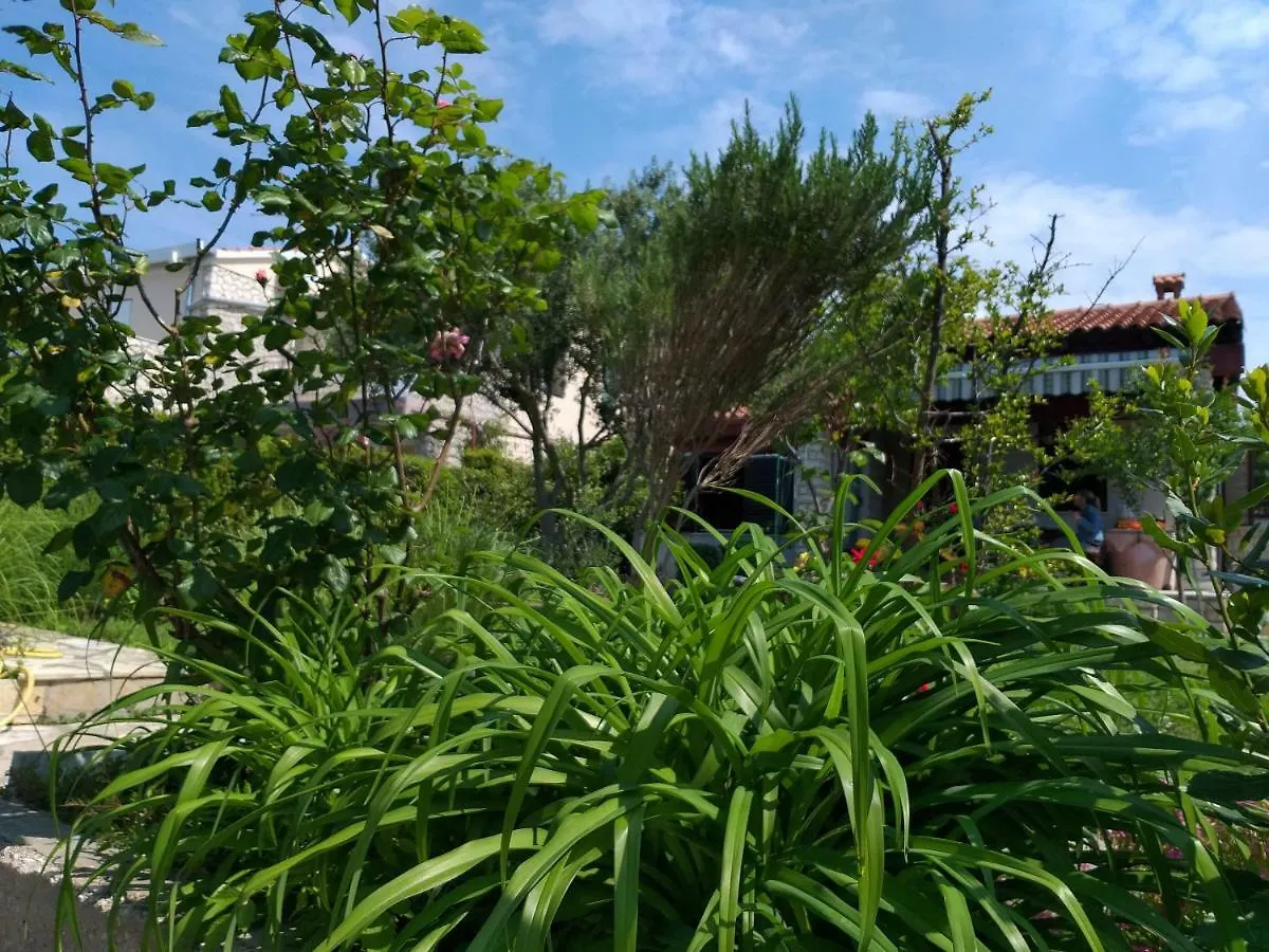 Holiday home House Roko Villa Sveti Petar