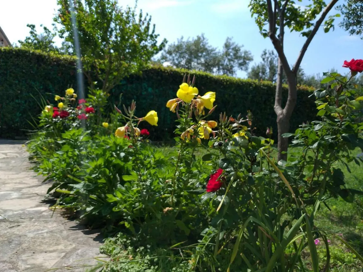 Holiday home House Roko Villa Sveti Petar